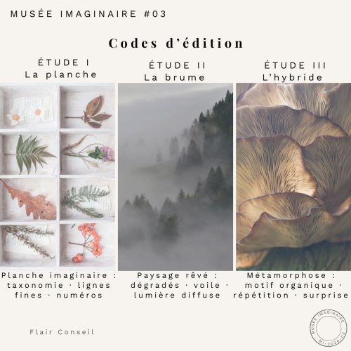 musée imaginaire #03 nature rêvée 3